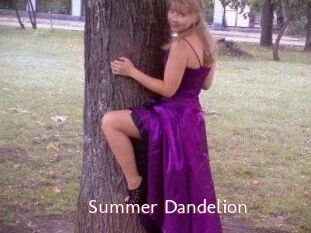 Summer_Dandelion