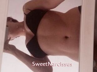 SweetNarcissus Sweet links only