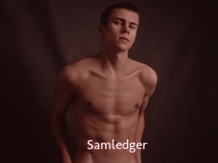 Samledger