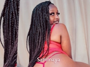 Sammaya