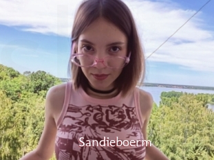 Sandieboerm