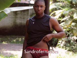 Sandrofernandes