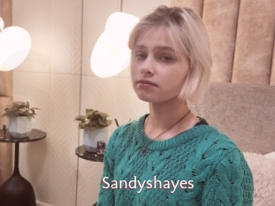 Sandyshayes