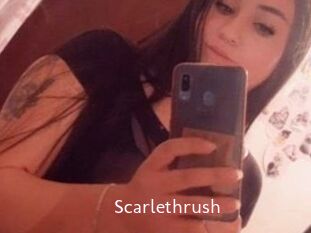 Scarlethrush