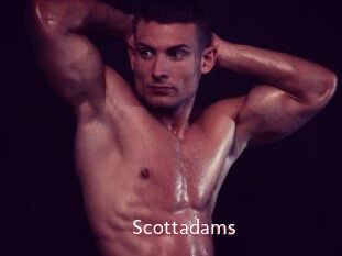 Scottadams