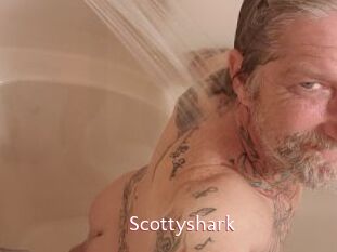 Scottyshark