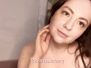 Selenacartery