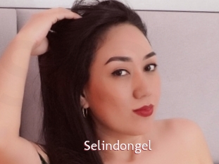 Selindongel