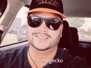 Senorgecko