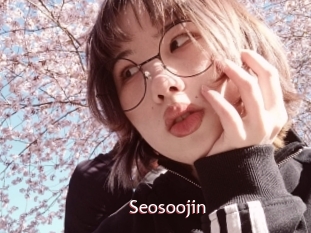 Seosoojin