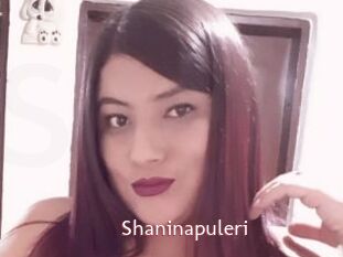 Shaninapuleri