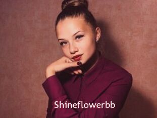 Shineflowerbb