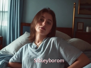 Sibleyborom