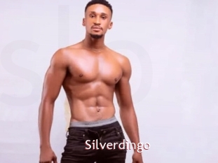 Silverdingo