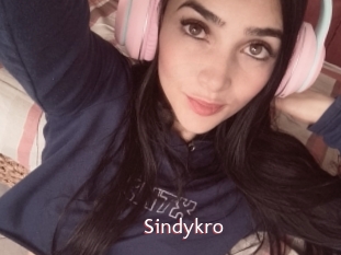 Sindykro