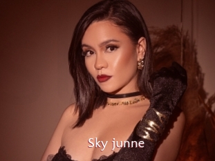 Sky_junne