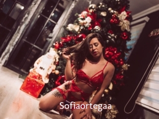 Sofiaortegaa