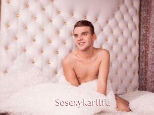 Sosexykarllfu