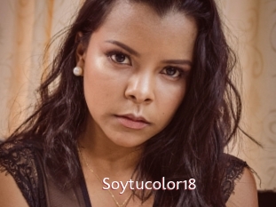 Soytucolor18