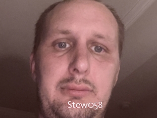 Stew058