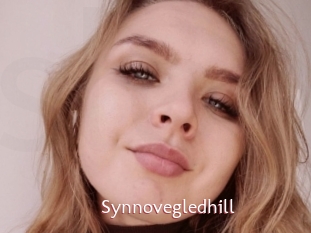 Synnovegledhill