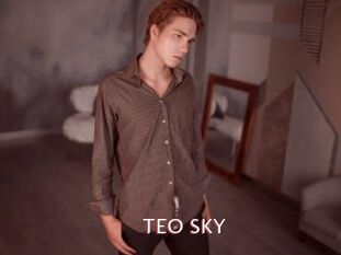 TEO_SKY
