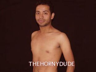 THEHORNYDUDE