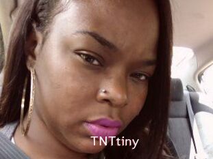 T_N_Ttiny