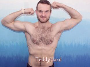 TeddyHard