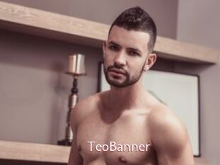 TeoBanner