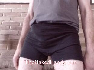 TheNakedHandyman