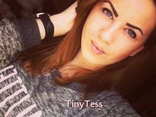 TinyTess