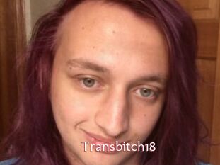Transbitch18