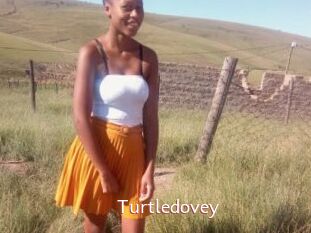Turtledovey