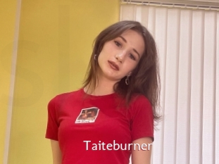 Taiteburner