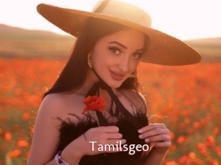 Tamilsgeo