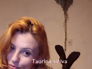 Taurina_sativa