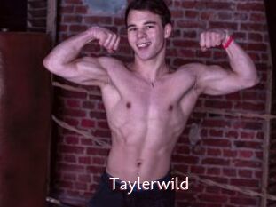 Taylerwild