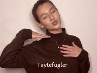 Taytefugler