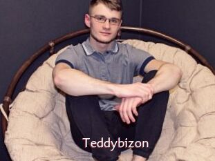 Teddybizon