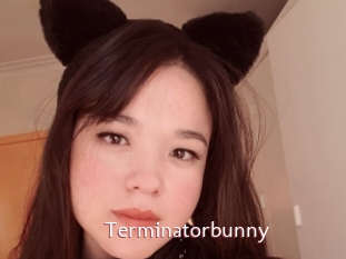 Terminatorbunny