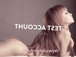 Testmodelsawyer