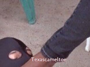 Texascameltoe