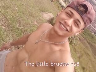 The_little_bruette_228