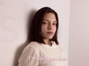 Theabridgewater