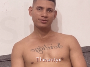 Thesantyx