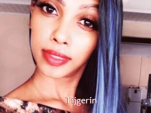 Tijgerin