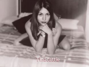 Tinacattie