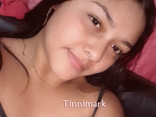 Tinnimark