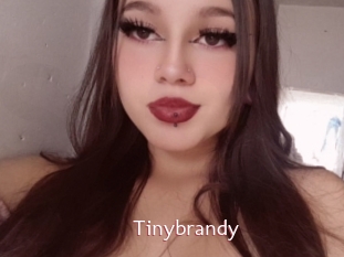 Tinybrandy